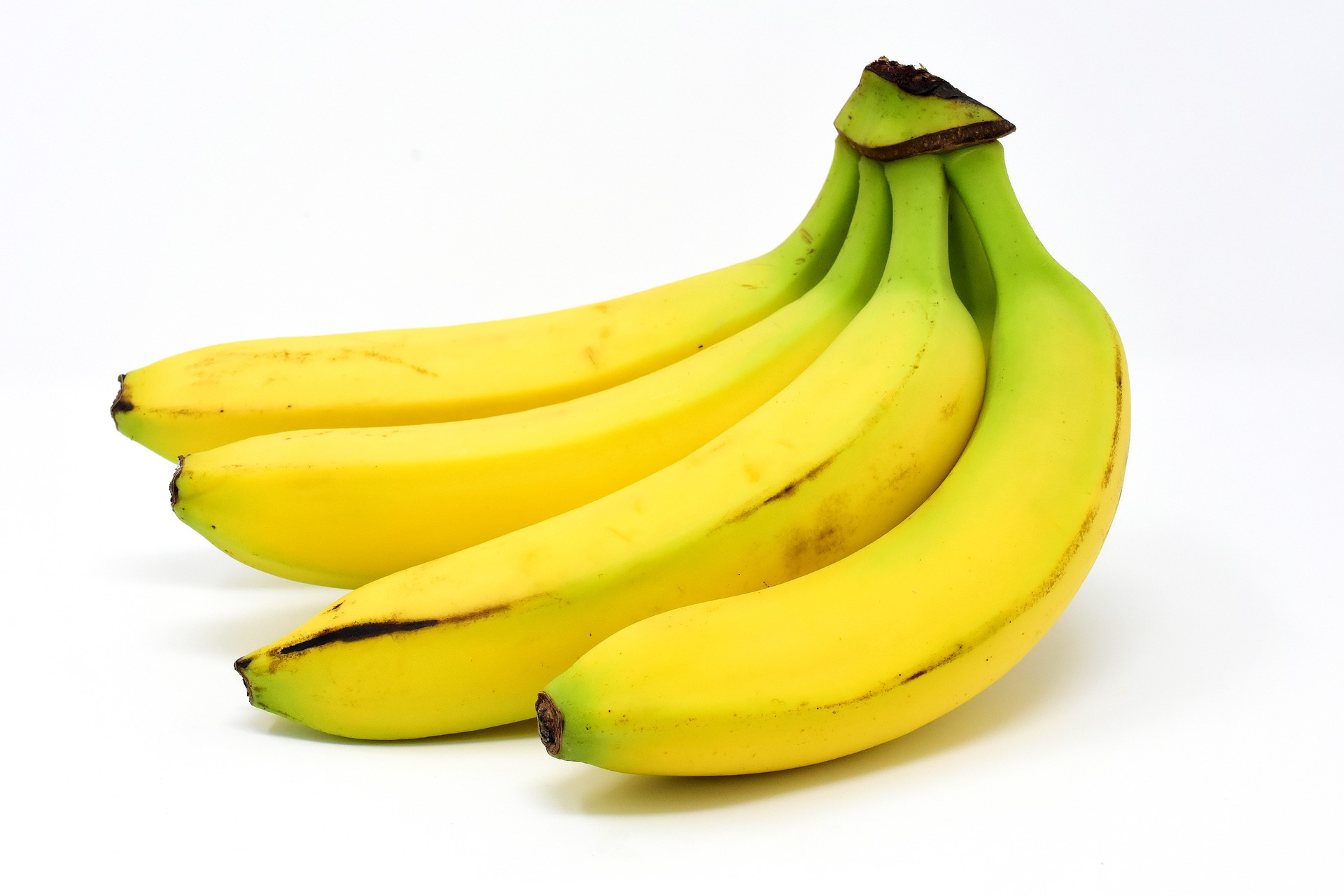 best bananas supplier exporter from indonesia