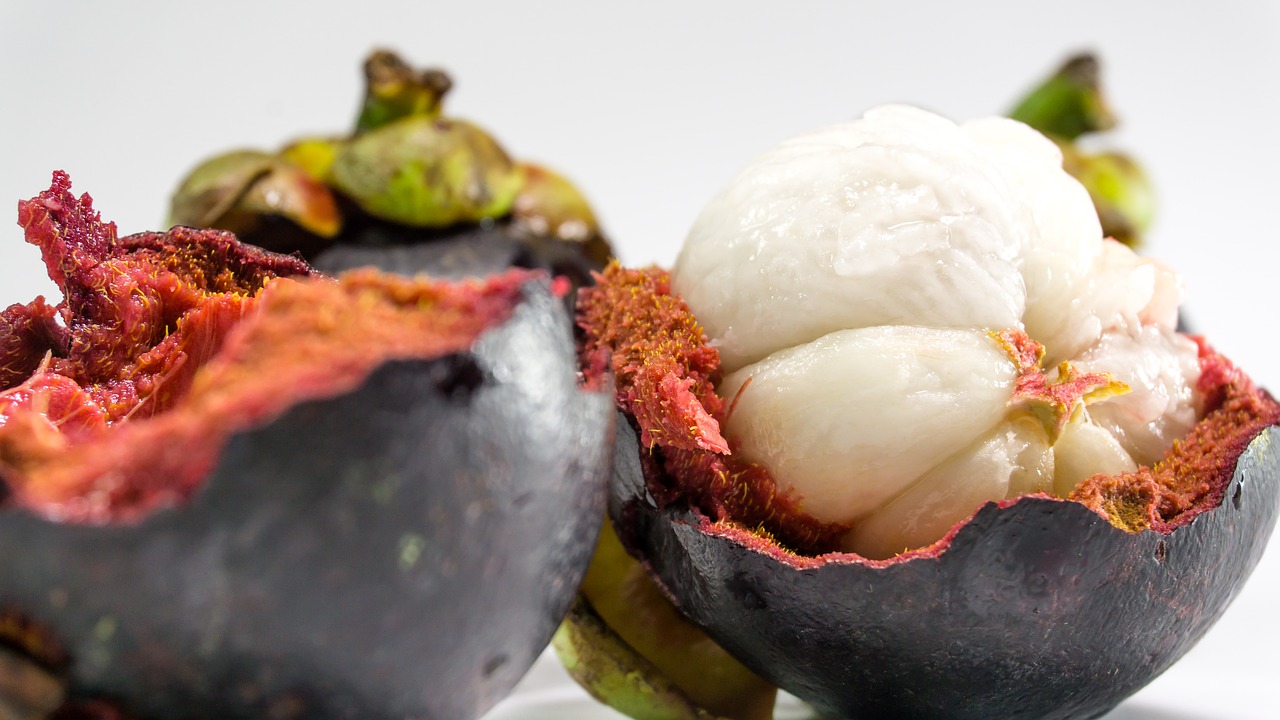 best fresh mangosteen from indonesia