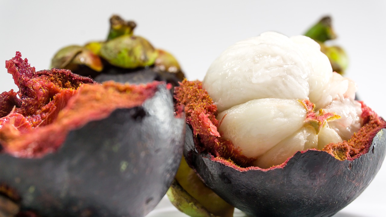 best-fresh-mangosteen-indonesia