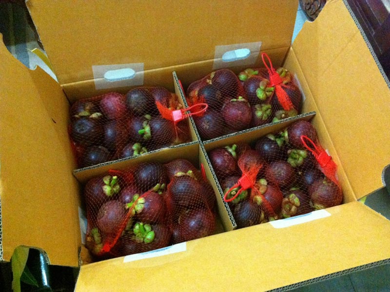 fresh mangosteen packaging export supplier indonesia