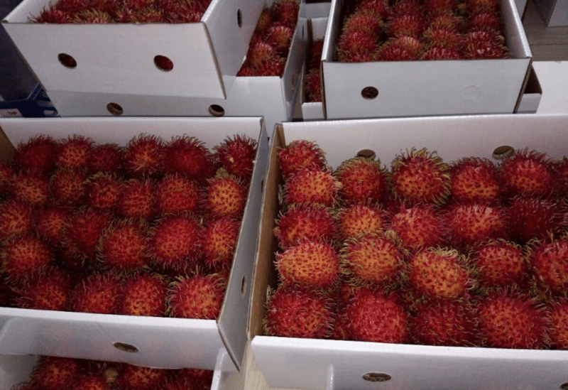 Rambutan - Your Number 1 Source for All Things from Indonesia