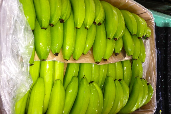 packaging for cavendish banana fresh from indonesia