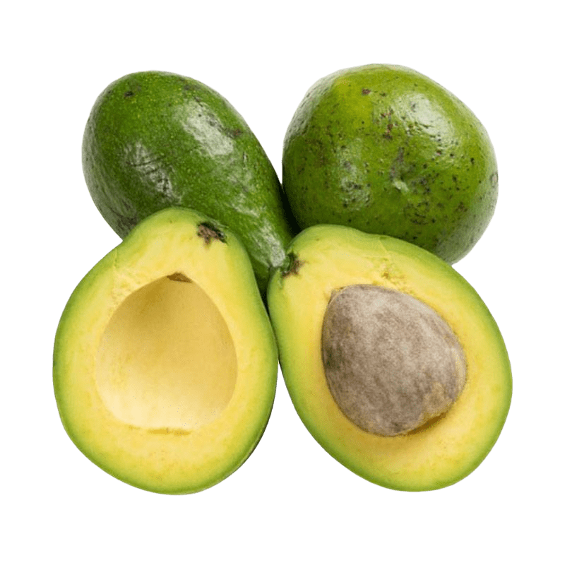 best avocado supplier from indonesia