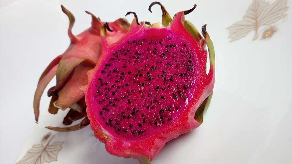 Fruits Food Dragon Fruit Organic Harvest Pink indonesia supplier