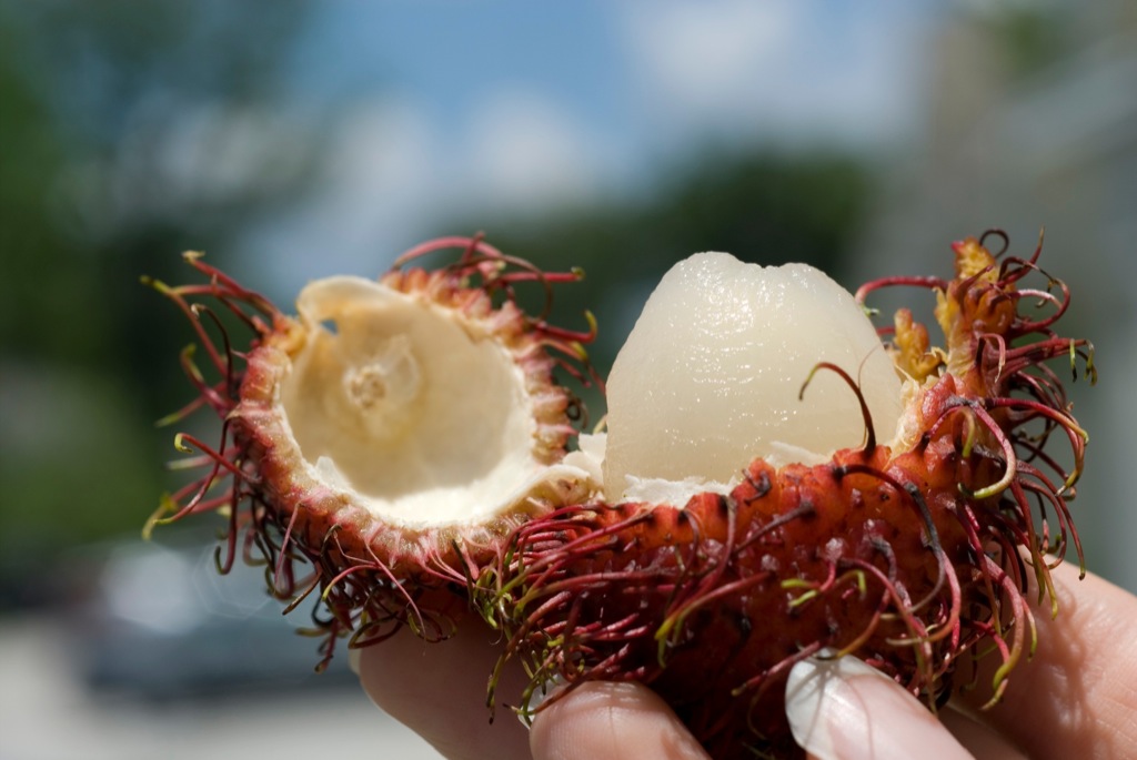 best cheap conventional rambutan tropical fruit indonesia supplier