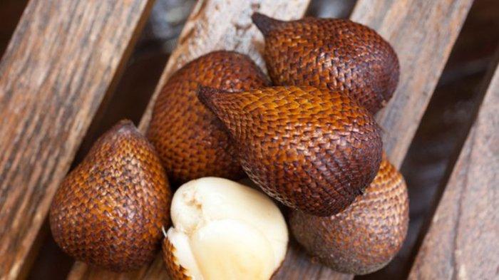 best conventional salak salacca snakefruit indonesia supplier