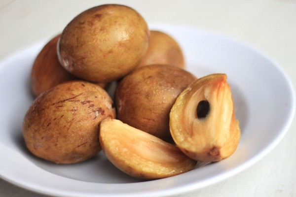 best sapodilla tropical fruit indonesia supplier exporter