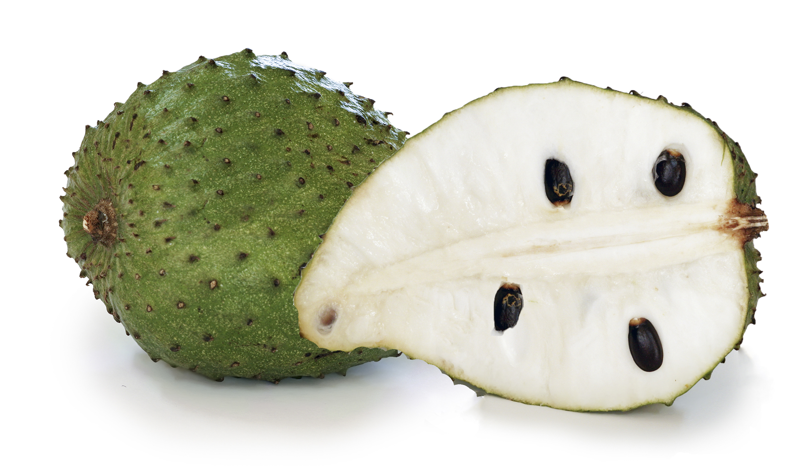 best soursop indonesia supplier conventional tropical fruit