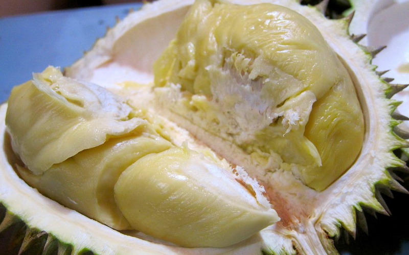 durian tropical fruit indonesia supplier exporter