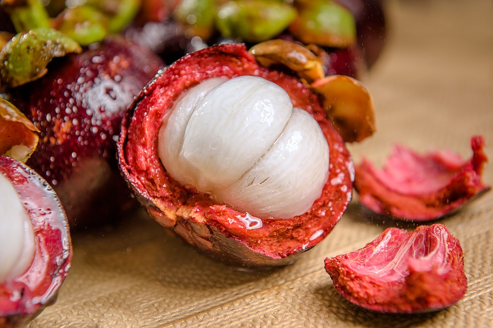 fresh mangosteen fruit indonesia supplier