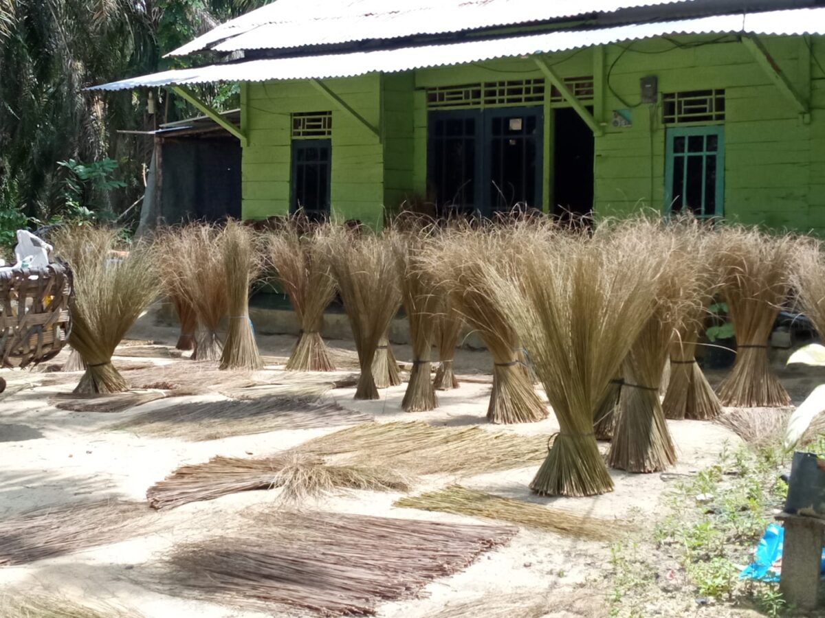 Coconut / Nypa / Palm Ekel Broom Stick Your Number 1 Source for All