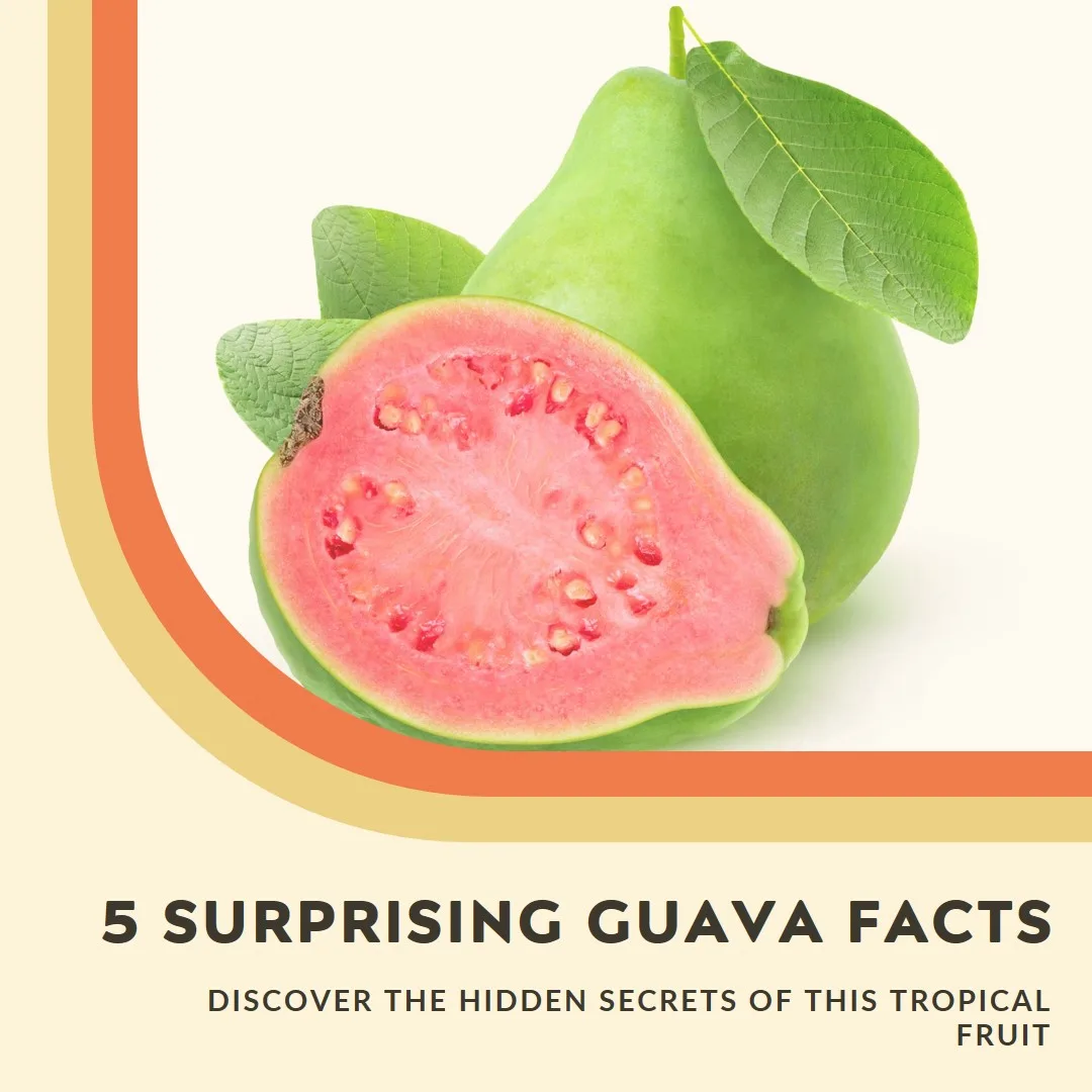 5 Surprising Guava Facts