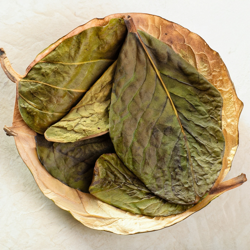 From Tea to Skincare: Exploring the Versatility of Dried Guava Leaves