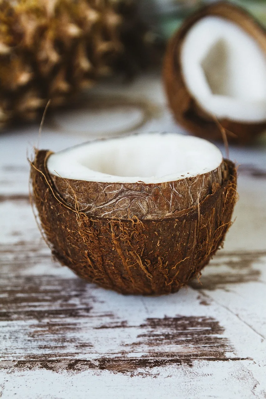 Fueling the Future: How Coconut Shell Biofuel is Revolutionizing the Energy Industry