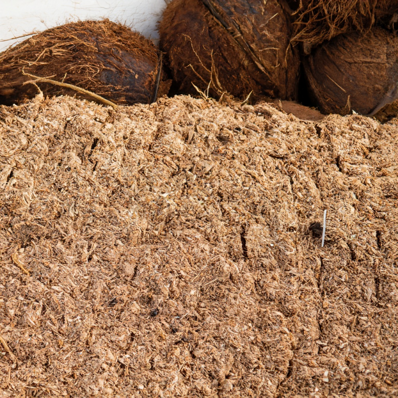 Revolutionize Your Landscaping With Coconut Coir The Natural Solution