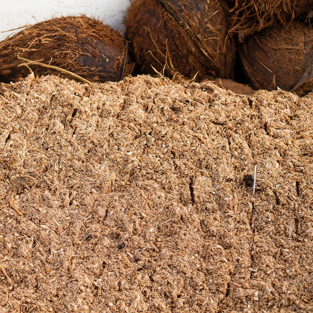 Revolutionize Your Landscaping with Coconut Coir: The Natural Solution for Sustainable Gardens