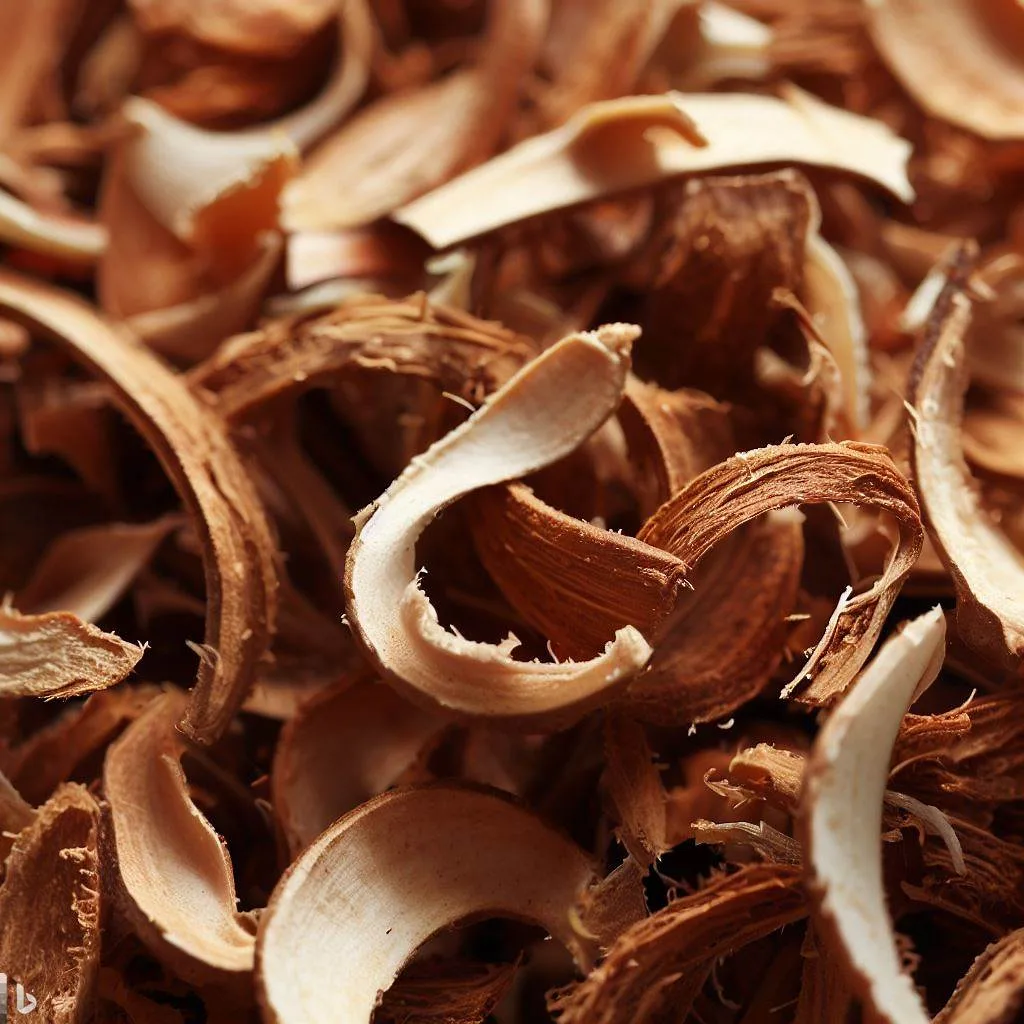 The Benefits of Coconut Husk Chips: A Sustainable Solution for Gardening