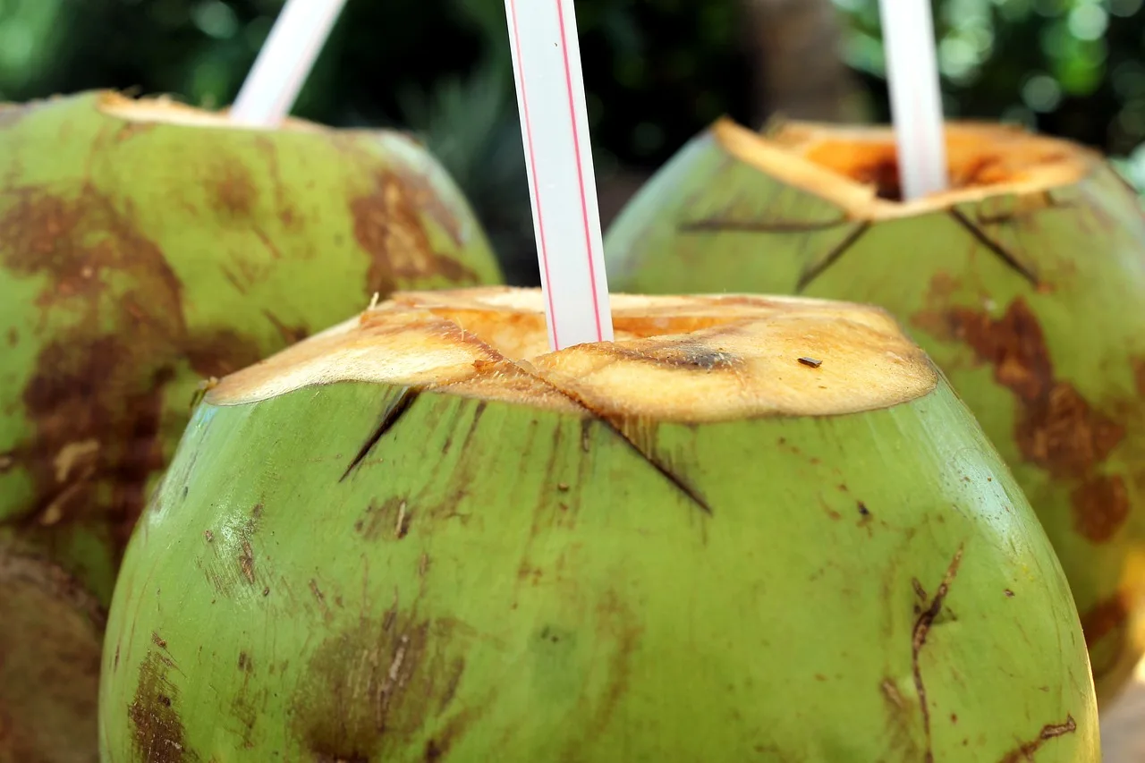 The Benefits of Coconut Water During Pregnancy: A Refreshing and Nutritious Choice