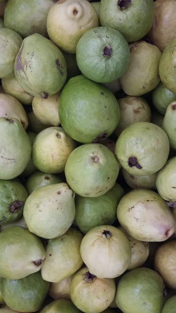 The Power of Guava: How This Superfruit Can Rejuvenate Your Face