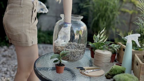 The Ultimate Guide to Using Coir Fiber for Terrariums: Enhancing Your Green Oasis