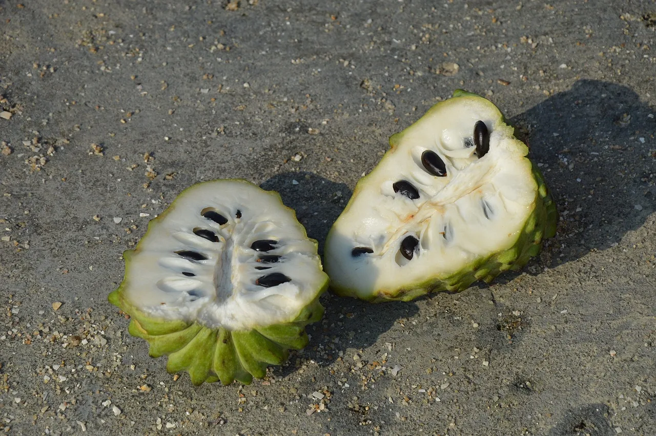 A Step-by-Step Guide: How to Make Delicious Soursop Pulp at Home