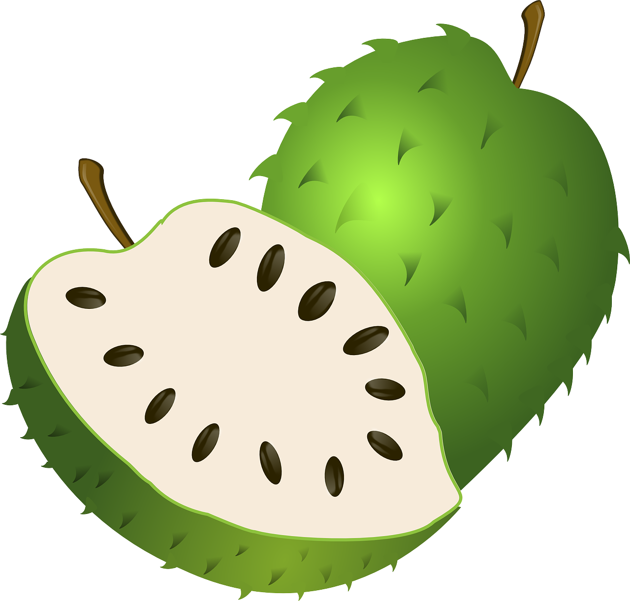 The Ultimate Guide to Making Delicious and Nutritious Dried Soursop Fruit