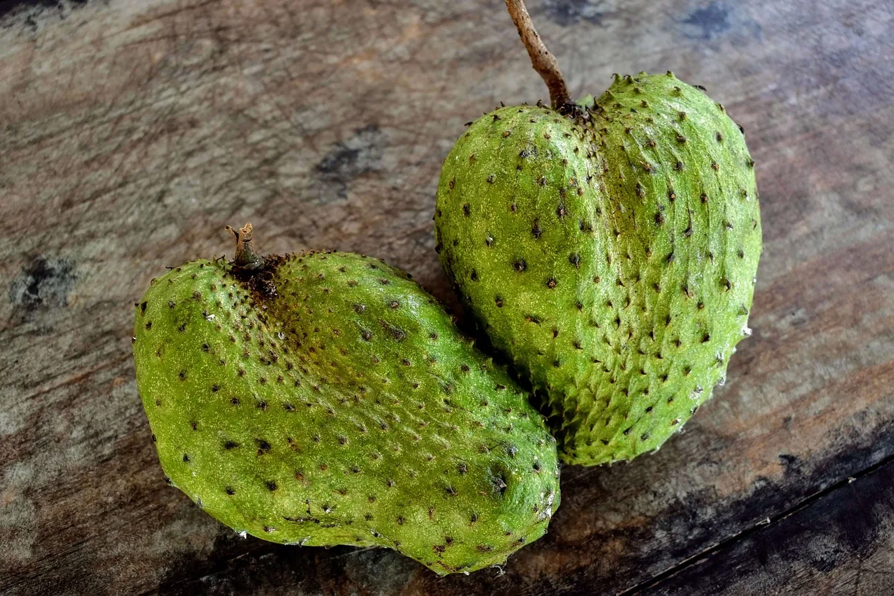 The Yin and Yang of Soursop: Unraveling the Benefits and Side Effects