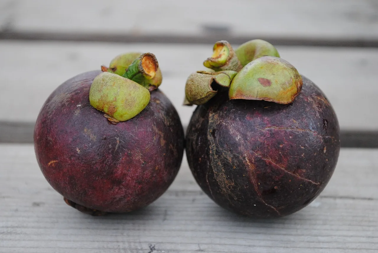 Unlocking the Secrets: How to Determine if Mangosteen is Ripe