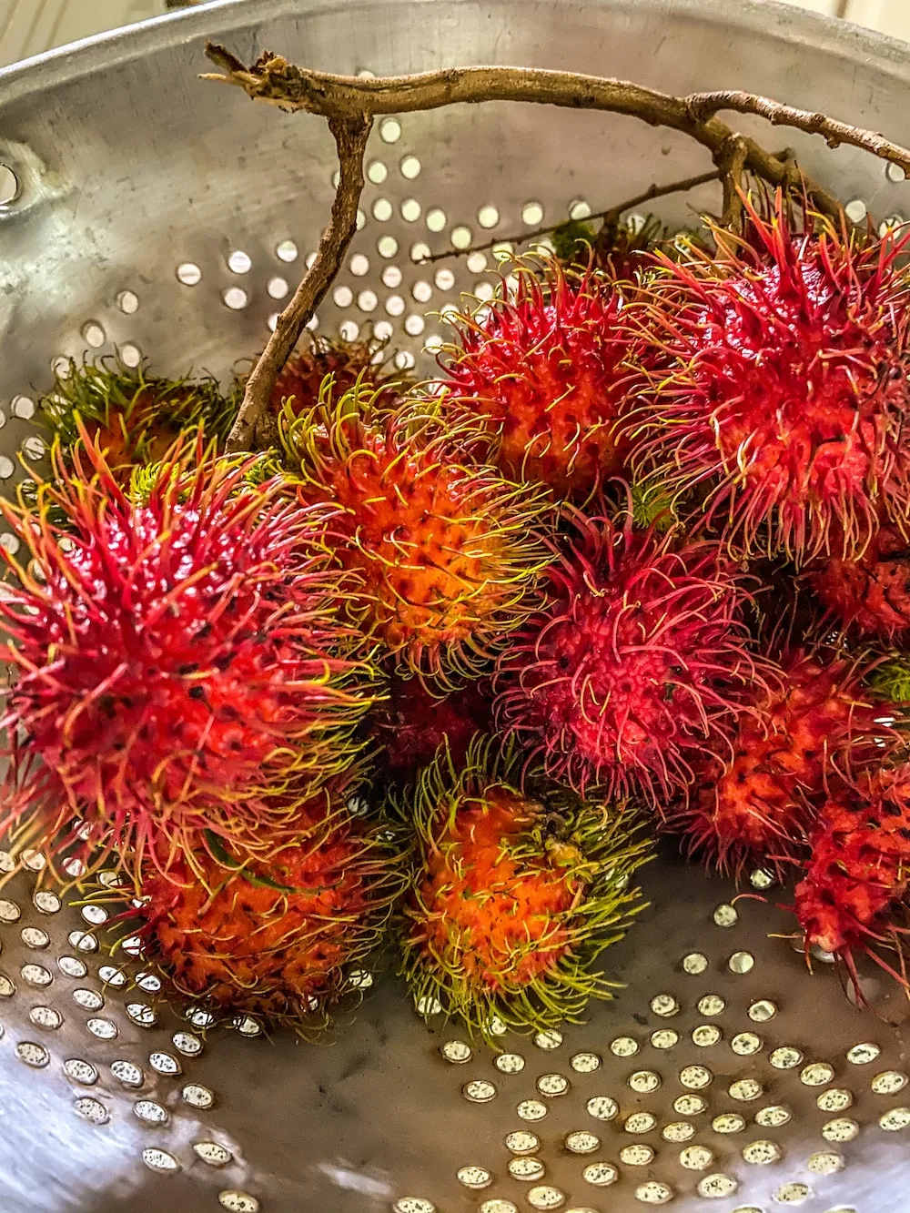 A Step-by-Step Guide: Making Rambutan Can at Home for Fresh and Flavorful Delights