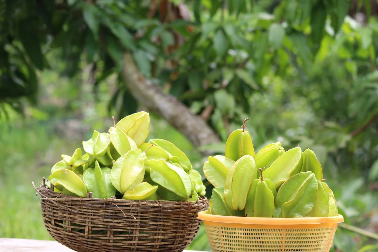 Savor the Exotic Taste of Star Fruit Pie: A Culinary Adventure in Every Bite